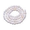 Natural Cultured Freshwater Pearl Beads Strands X-PEAR-N014-04E-3