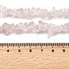 Natural Rose Quartz Beads Strands G-H315-A07-01-5