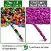 FGB 12/0 Grade A Round Glass Seed Beads SEED-Q009-FJXM-2