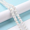 Electroplate Glass Beads Strands X-GLAA-E036-13E-2
