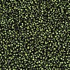 12/0 Glass Seed Beads SEED-S005-10-3