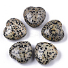 Natural Dalmatian Jasper Healing Stones G-R418-26-2-1