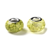 Resin European Beads RESI-G080-01E-3