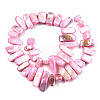Natural Freshwater Shell Beads Strands X-SHEL-N026-123B-2