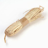 Raffia Ribbon DIY-WH0063-11-1