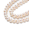 Natural Cultured Freshwater Pearl Beads Strands PEAR-N013-03C-4