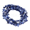 Natural Sodalite Chips Beads Strands X-F024-3