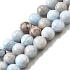 Natural Striped Stone Beads Strands G-D315-A01-01-10mm-2