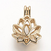 Alloy Diffuser Locket Pendants PALLOY-S062-40G-1