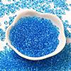 Transparent Colours Glass Seed Beads SEED-P006-02A-08-2