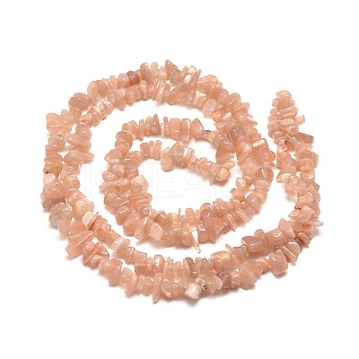 Natural Sunstone Chip Bead Strands G-M205-19-1