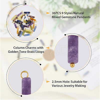 36Pcs 9 Styles Natural Mixed Gemstone Pendants PALLOY-AB00100-1