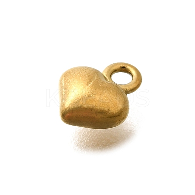 304 Stainless Steel Charms LS-STAS-D310-06G-03-1