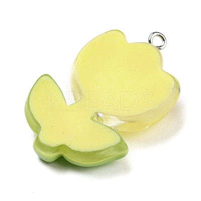 Translucent Resin Pendants LS-RESI-G078-01E-1