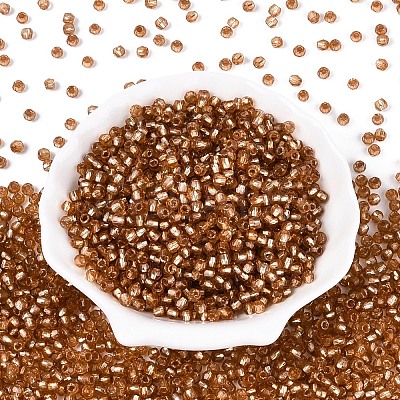 Silver Lined Glass Seed Beads SEED-T007-18A-12-1