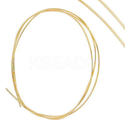 50CM Sterling Silver Wire STER-PH0001-19A-1