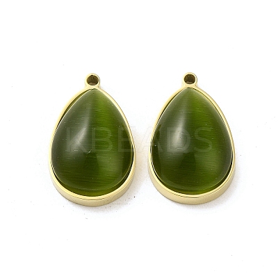 304 Stainless Steel Pendants STAS-L022-045G-08-1