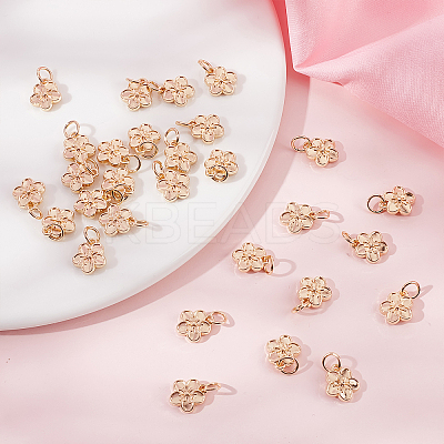 40Pcs Rack Plating Alloy Charms FIND-BBC0004-44-1