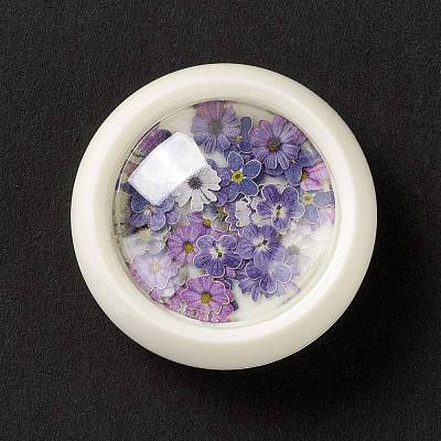 DIY Crystal Epoxy Resin Material Filling DIY-E036-20-1