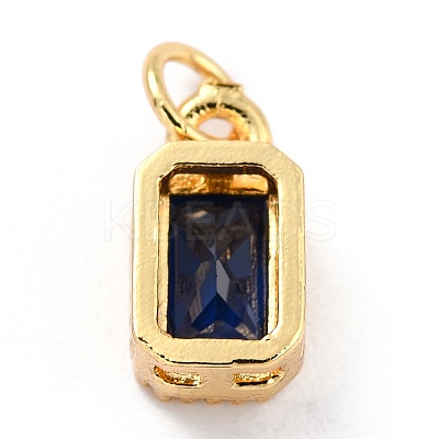 Real 18K Gold Plated Brass Inlaid Cubic Zirconia Charms X-ZIRC-L100-075G-05-1