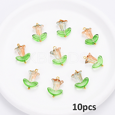 10Pcs Glass Pendants PALLOY-YW00040-02-1