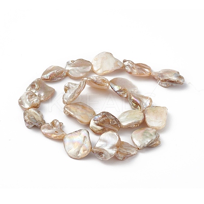 AB Color Plated Natural Freshwater Shell Beads Strands BSHE-G033-03B-1