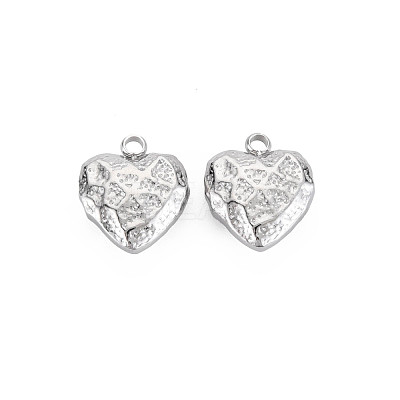 Non-Tarnish 304 Stainless Steel Charms STAS-N097-190P-1