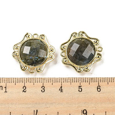 Natural Labradorite Faceted Connector Charms G-M431-09G-02-1
