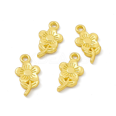 Rack Plating Alloy Pendants FIND-G045-48MG-1