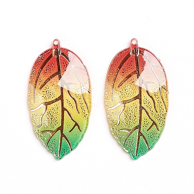 Rainbow Color Resin Pendants LS-RESI-WH0008-31F-1