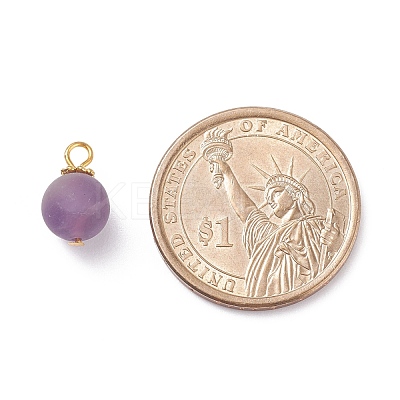 Frosted Natural & Synthetic Gemstone Charms PALLOY-JF01386-1