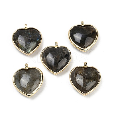 Natural & Synthetic Mixed Gemstone Pendants G-K347-10G-1