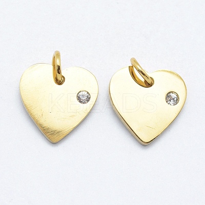 316 Surgical Stainless Steel Pendants X-STAS-K178-05G-1