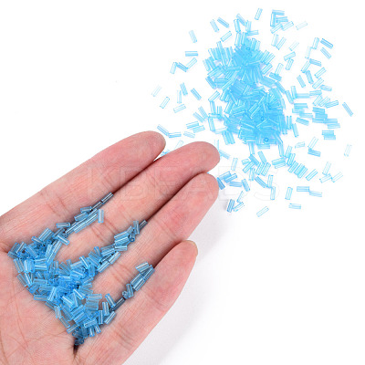 Transparent Glass Bugle Beads SEED-N005-001-C12-1