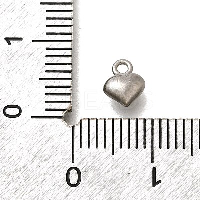 304 Stainless Steel Charms LS-STAS-D310-06P-03-1