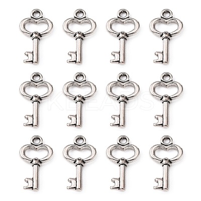 Gifts Ideas for Her Tibetan Style Alloy Charms LS-LF11975Y-1