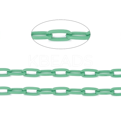 3.28 Feet Eco-friendly Spray Painted Handmade Brass Paperclip Chains X-KK-J276-19-P15-1