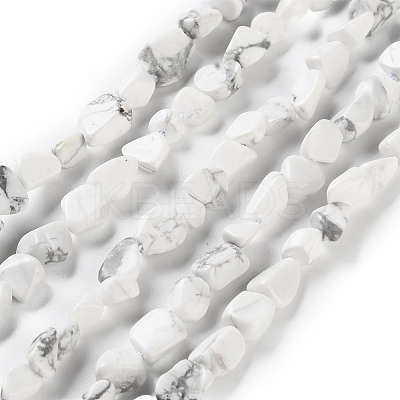 Natural Howlite Beads Strands G-P497-01C-64-1