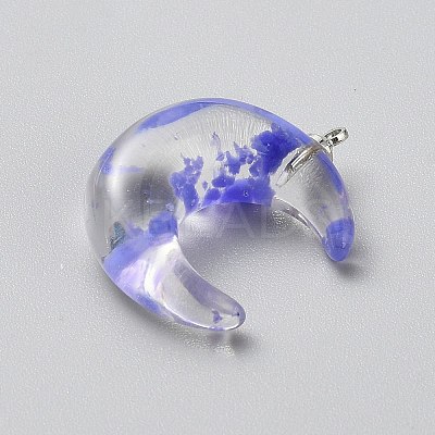 Luminous Transparent Resin Pendants RESI-WH0081-01D-1