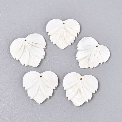 Natural Freshwater Shell Carved Pendants SHEL-Q028-12-1