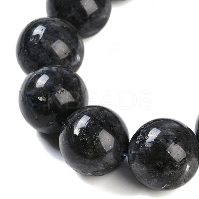 Natural Larvikite Beads Strands G-G118-B02-01-1