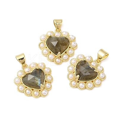Natural Labradorite Pendants G-E599-05G-A01-1