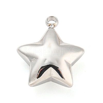 Non-Tarnish 304 Stainless Steel Charms STAS-P333-08P-1