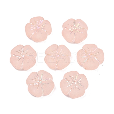 Frosted Transparent Acrylic Beads OACR-P029-19B-02-1
