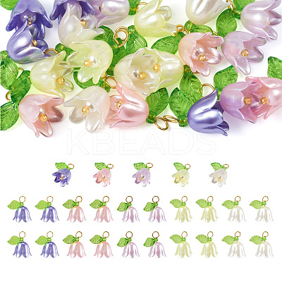 25Pcs 5 Colors Acrylic Charms KY-TA0001-22-1