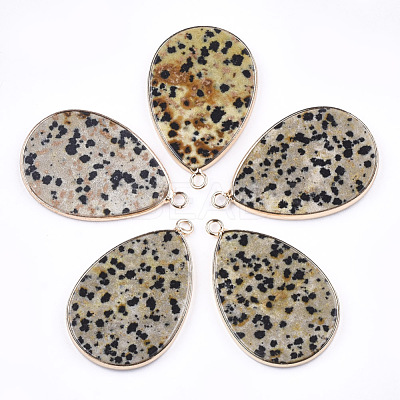 Natural Dalmatian Jasper Pendants G-T112-22C-1