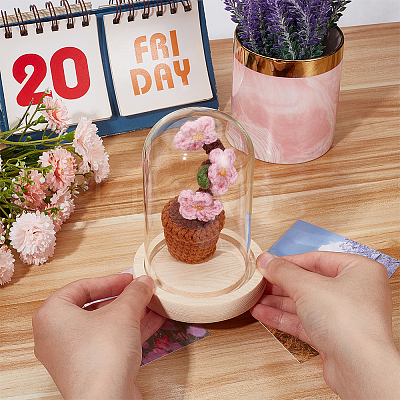 1 Set Glass Cloche Bell Jar Terrarium with 1Pc Handmade Knitting Crochet Artificial Plum Bossom Potted DJEW-WR0001-01C-1