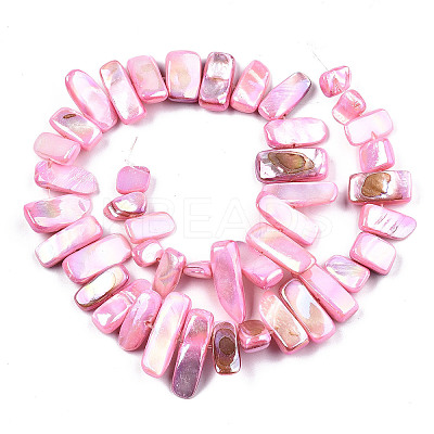 Natural Freshwater Shell Beads Strands X-SHEL-N026-123B-1