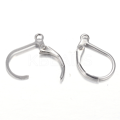 Tarnish Resistant 304 Stainless Steel Leverback Earring Findings LS-X-STAS-M217-03-1