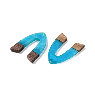 Resin & Wood Pendants WOOD-F015-16F-1